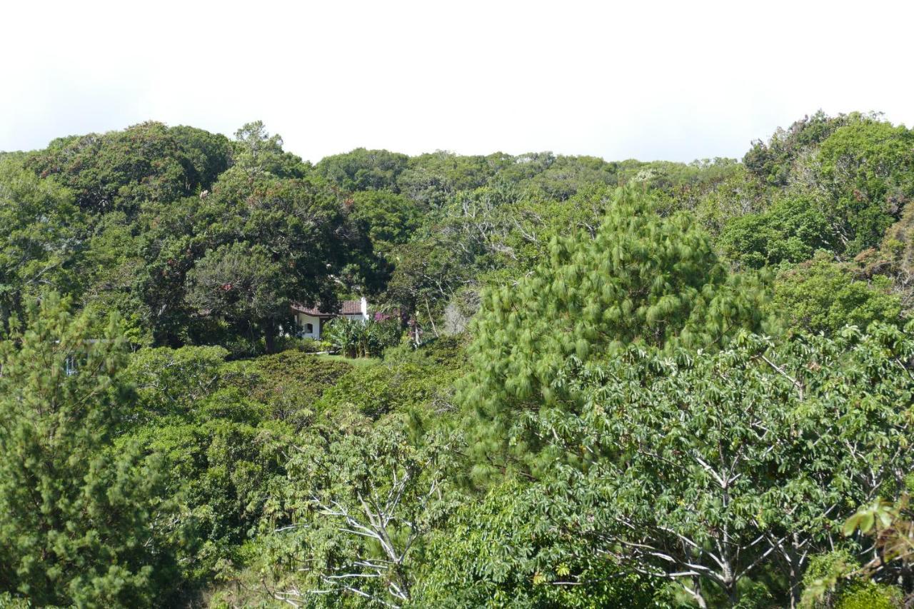 Casitas Vista Verde Bajo Boquete エクステリア 写真