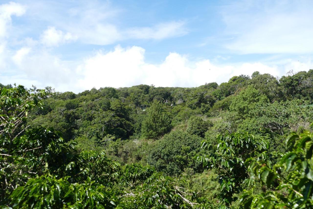 Casitas Vista Verde Bajo Boquete エクステリア 写真