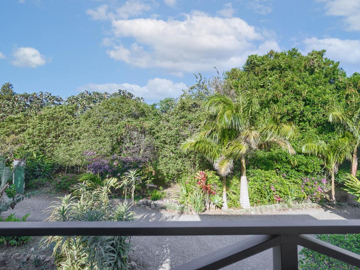 Casitas Vista Verde Bajo Boquete エクステリア 写真