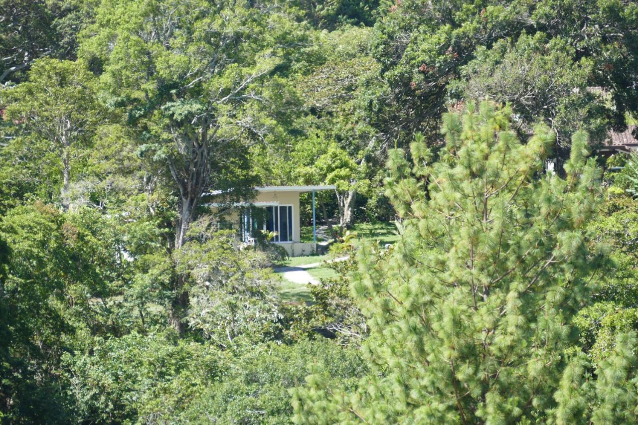 Casitas Vista Verde Bajo Boquete エクステリア 写真