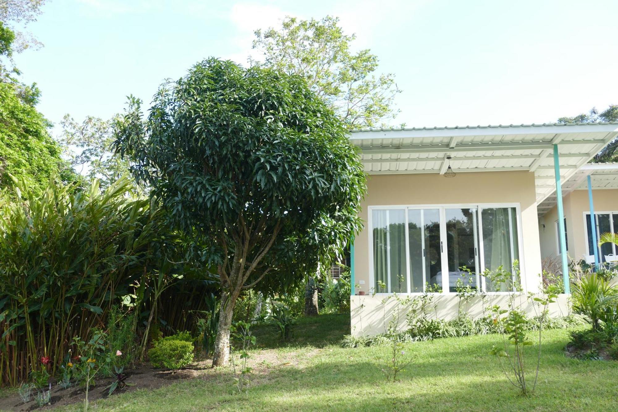 Casitas Vista Verde Bajo Boquete エクステリア 写真