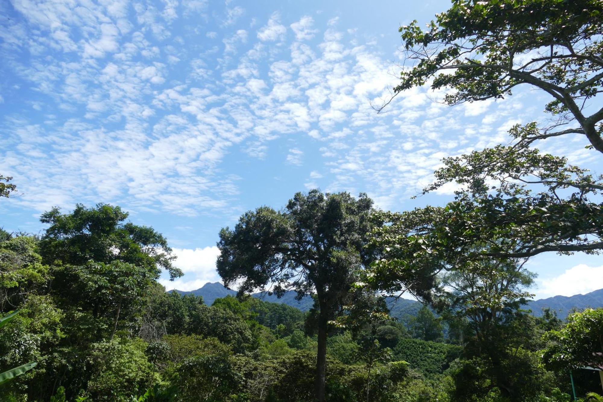 Casitas Vista Verde Bajo Boquete エクステリア 写真